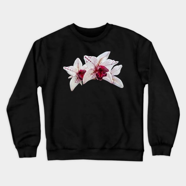 Orchid - Cymbidium Baltic Dew Freckle Face Crewneck Sweatshirt by SusanSavad